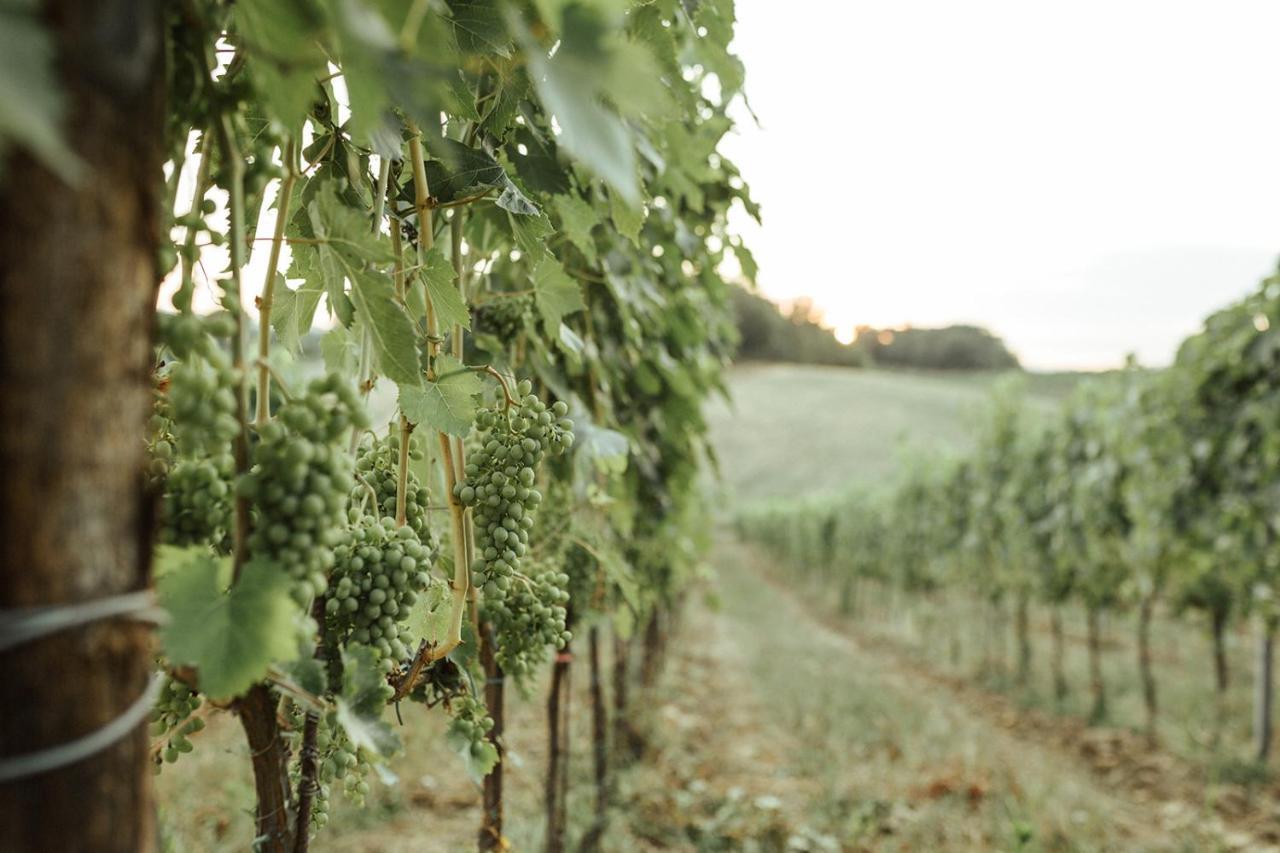 Perelli Winery Villa Bucine Exterior photo